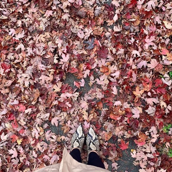 ✨ SOUL MIKEY BOOTIES✨ - Picture 9 of 10